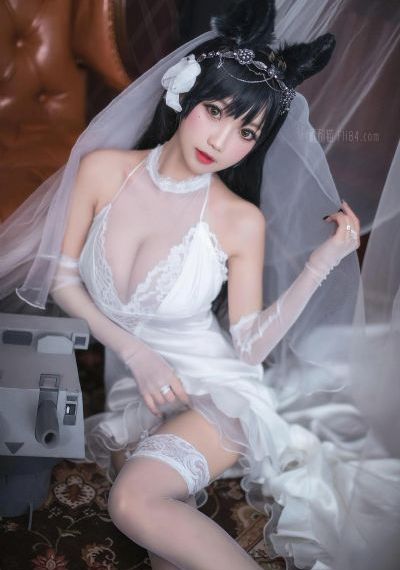 半路夫妻在线观看免费版全集