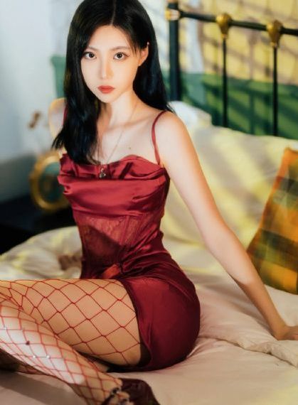 忠犬帕尔玛电影