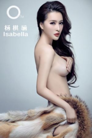 菜鸟总动员