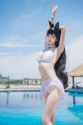 怪才军师